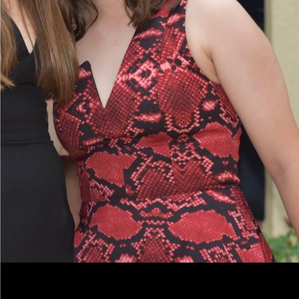 NBD snake print dress, size small - Picture 5 of 6